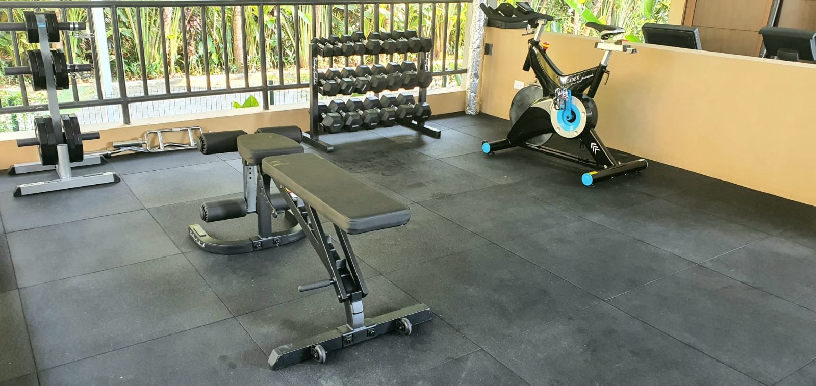 Gimnasio